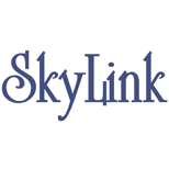 Pay service SkyLink