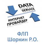 Оплатити сервіс Data Service (Iнтернет) (СП)