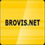 3 PAYMENT OF THE INTERNET Brovis.net