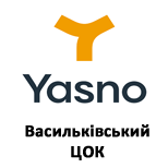 10 LLC "Dnipro Energy Services" LLC "EPC" CSC Vasilkovsky