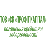12 Погашення кредитів Кредитні організації ТОФ "ФК "Профіт Капітал"