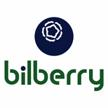 6 PAYMENT OF THE INTERNET bilberry