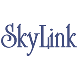 1 PAYMENT OF THE INTERNET SkyLink